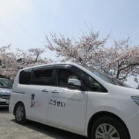 お花見ドライブに行ってきました！